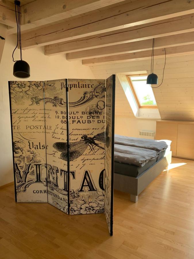 Dovolena Bez Starosti - Apartman U Venuse Pavlov Exteriör bild