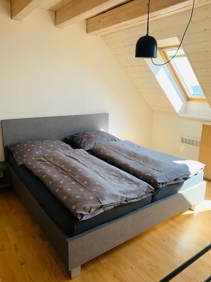 Dovolena Bez Starosti - Apartman U Venuse Pavlov Exteriör bild