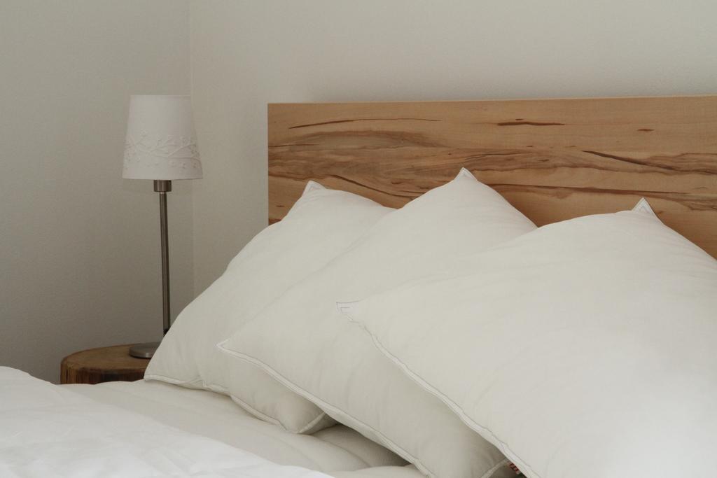 Dovolena Bez Starosti - Apartman U Venuse Pavlov Exteriör bild